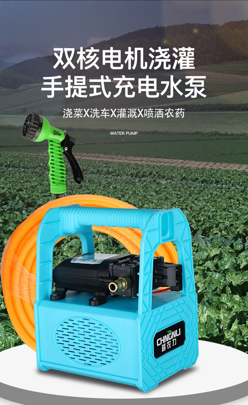 式12v小型澆菜戶外農用抽水機自動高壓抽水泵充電式水泵家用灌溉設備