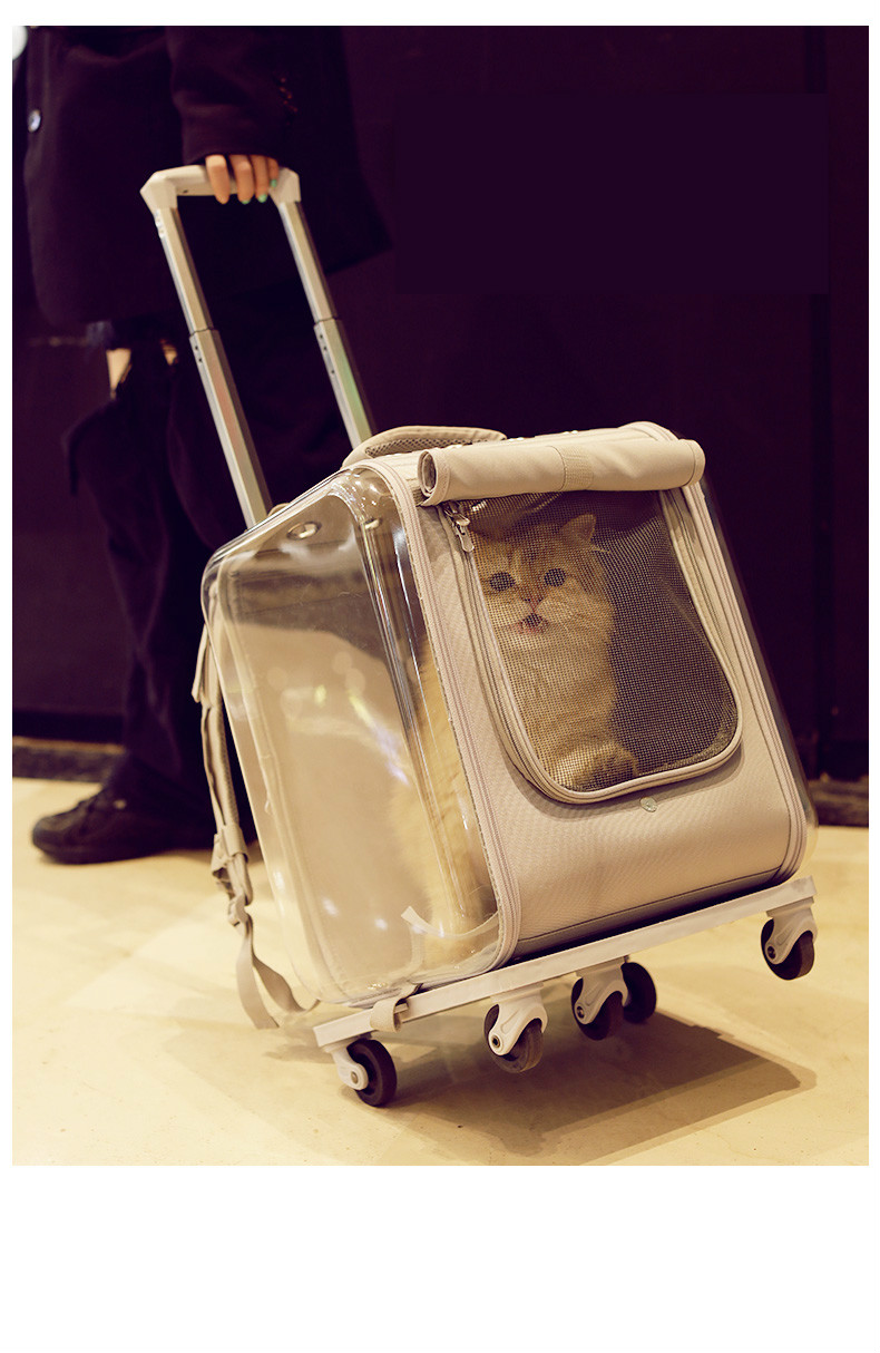 超大猫包拉杆箱外出便携宠物猫咪背包猫笼子双肩包书包太空舱用品 双