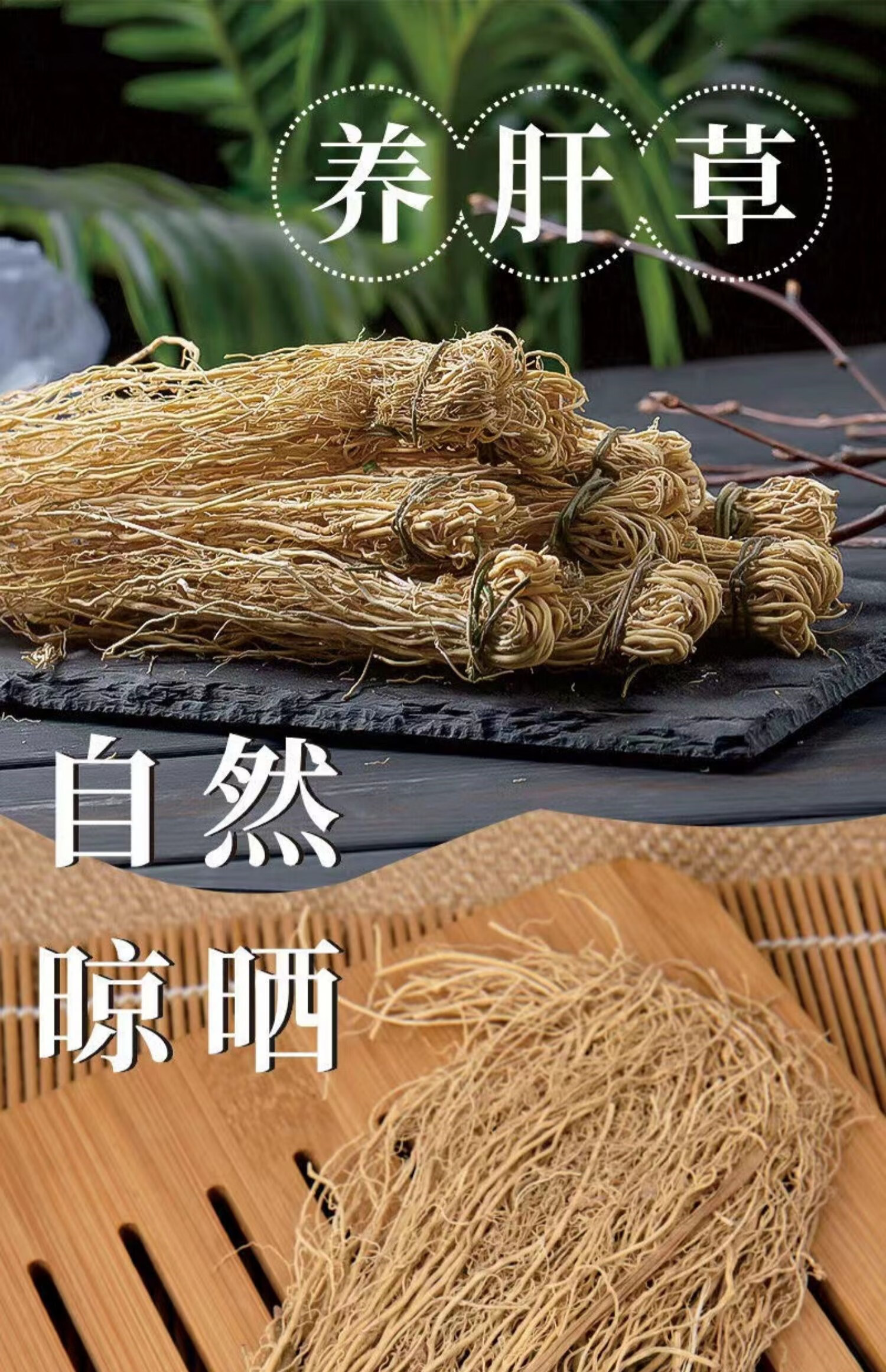 野生养肝草中药材食用扎丝线根龙须草儿童厌食煲汤料煲汤煮水 红色