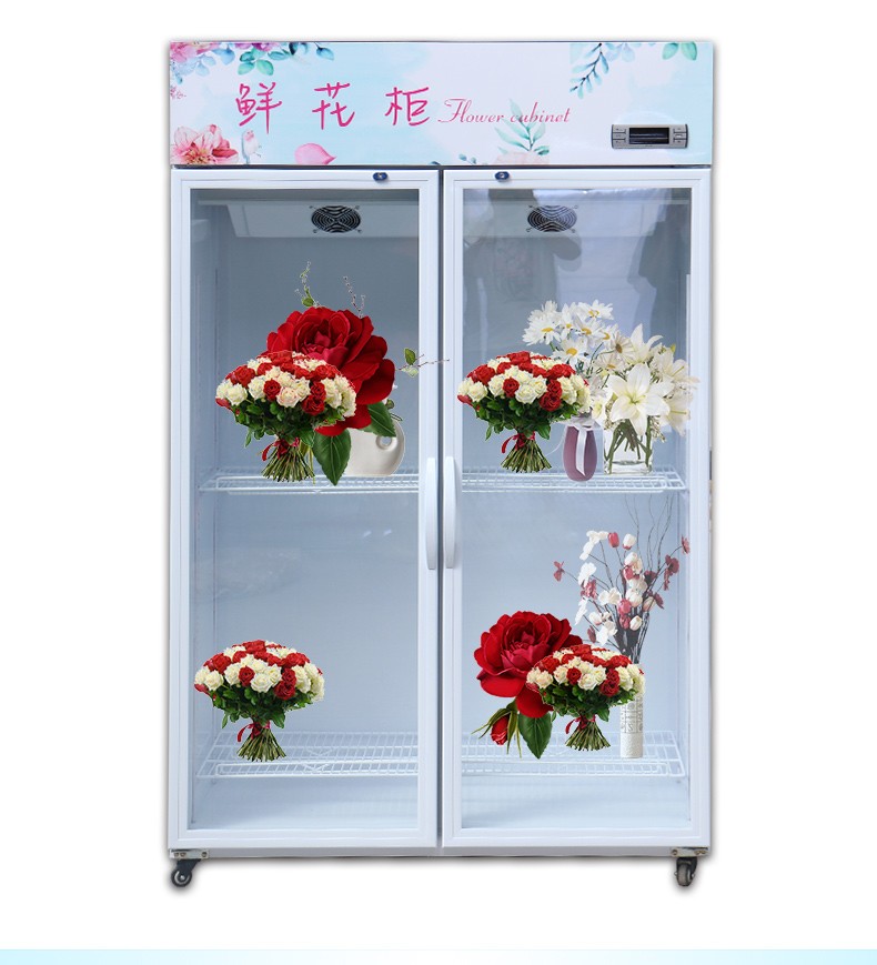 画彩鲜花保鲜柜鲜花柜冷藏柜绿色植物展示柜冰箱花店花束延长花期风冷