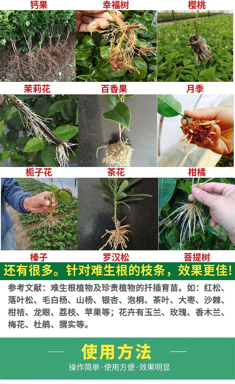 生根粉扦插用发根植物通用月季插枝条专用育苗生根水苗木扦插快繁母粉