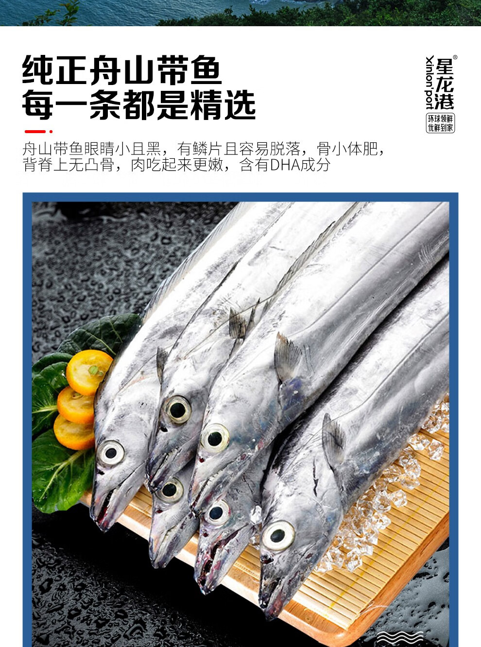 星龙港国产舟山带鱼礼盒装鲜活水产海产大礼包新年年货礼品258型
