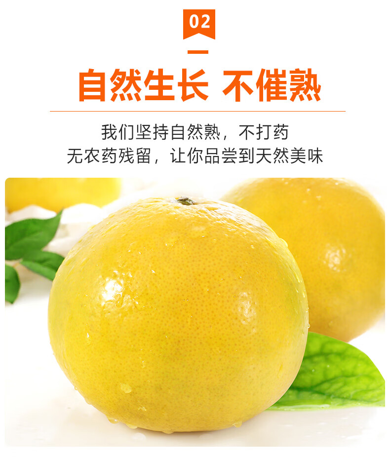 常山胡柚新鲜小柚子10斤水果应当季现摘黄金柚整箱柚子2斤爆卖款中果