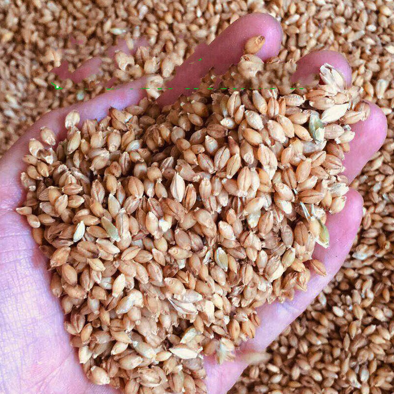 靖江粥元麦 粯子粥粉大麦面粉泰兴采儿煮粥粗粮2500g