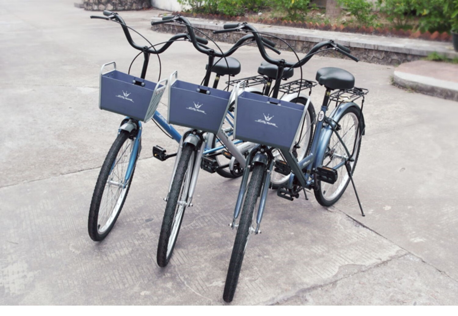 贵族自行车贵族自行车 24寸曼莉 女式 学生单车 淑女 公主 城市 单速