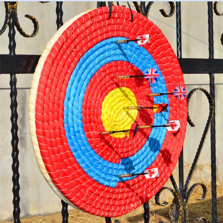 射箭靶 飞镖盘 飞镖靶 专业飞镖盘套装 专业18寸比赛用 健身器材家用