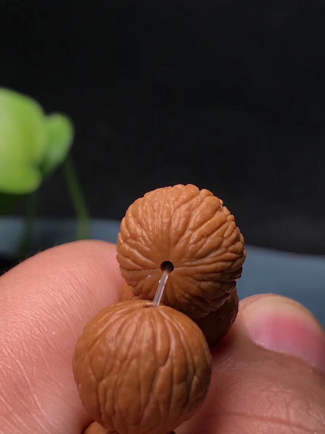 时乾 正宗磨盘凤羽美猴金丝猴头精品文玩手串 雕刻野生核桃核中之凤