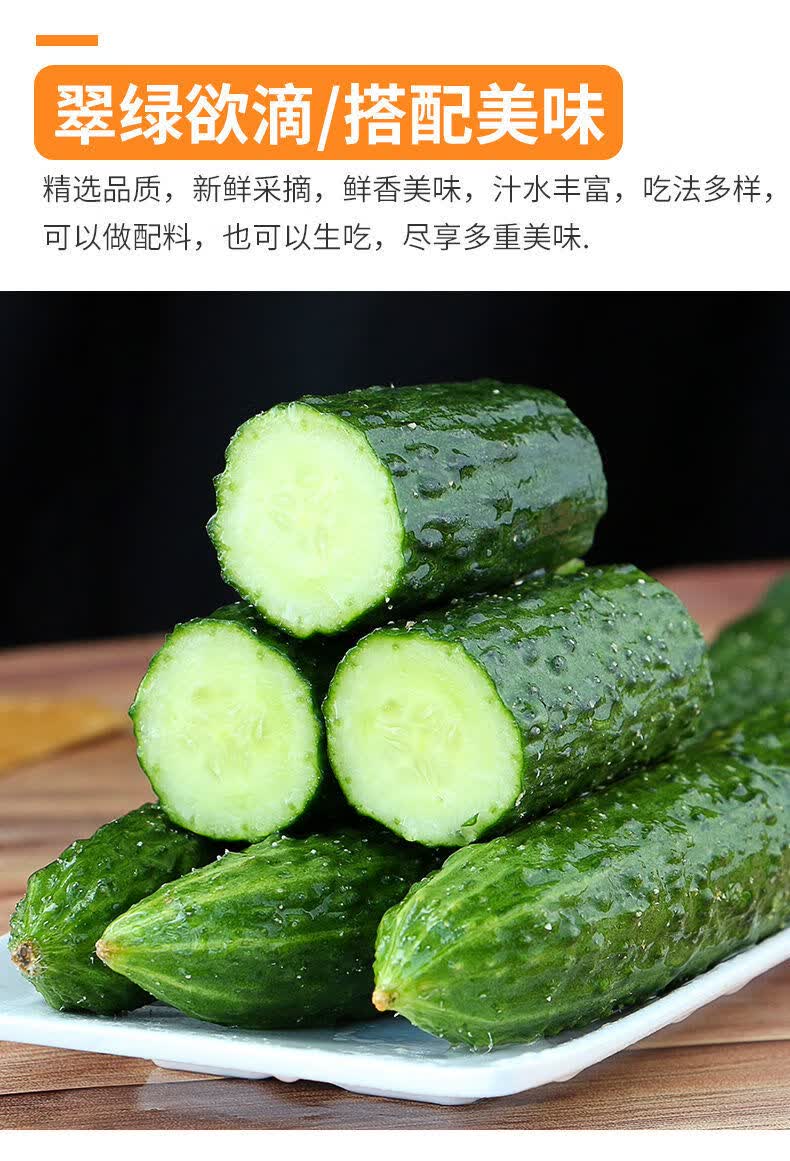 新鲜黄瓜5斤农家自种蔬菜青瓜带刺长脆嫩小黄瓜当季整箱云南现摘黄瓜5