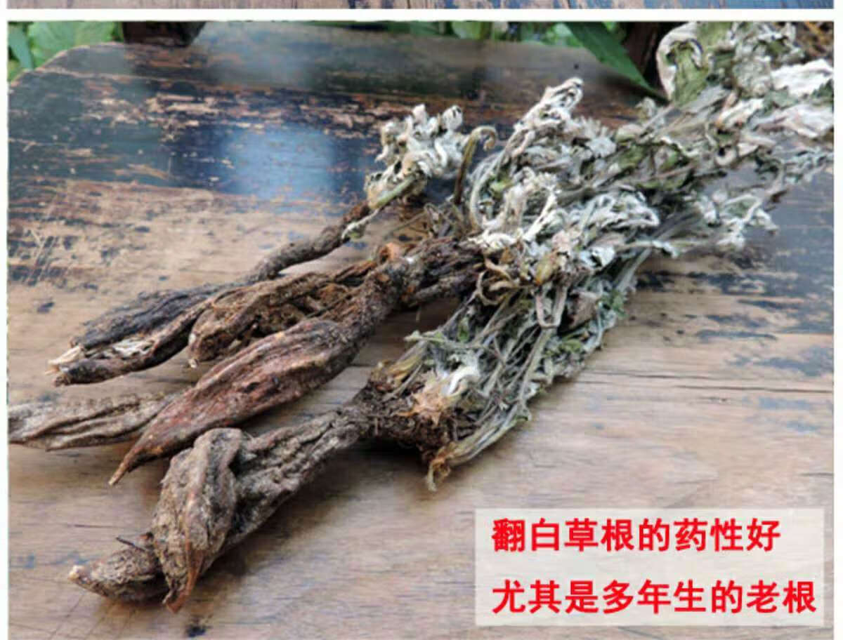 2020年新貨翻白草降糖幹品 新鮮整顆帶根中藥材翻白草 50g