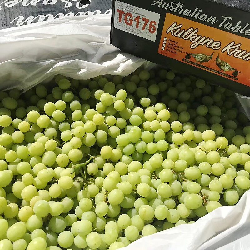 现货澳洲进口秋天酥甜地球无籽青提葡萄新鲜水果提子青葡萄2斤