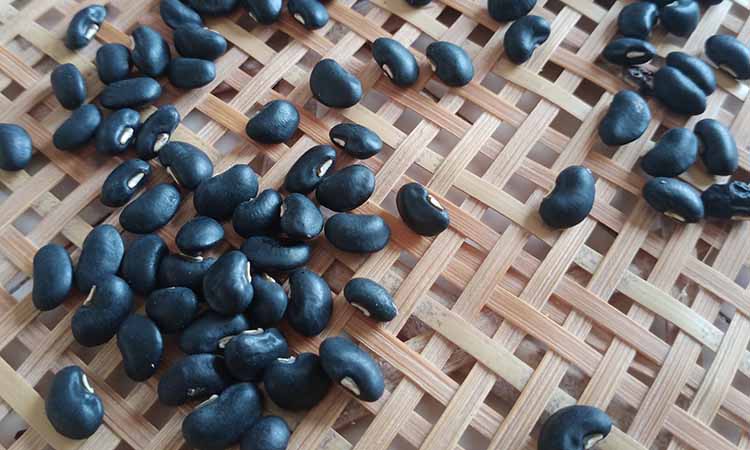 台州农家本地黑豇豆新货白心乌豇豆芸豆黑眉豆乌饭豆豆腰酒黑 500g