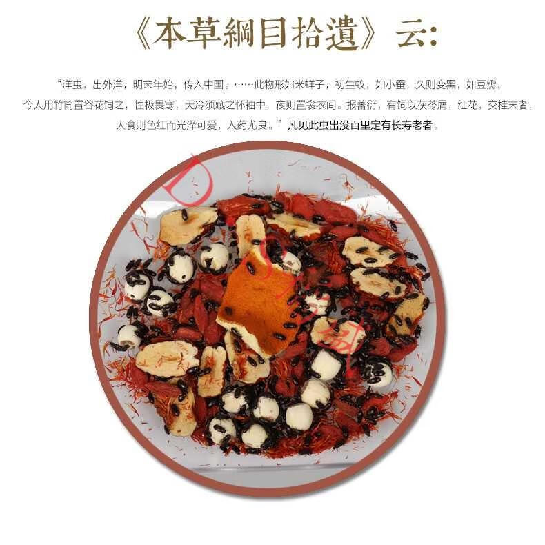 正宗九龙虫活体洋虫自家喂养可泡药泡酒 中药材虫子宠物虫活体爬虫种