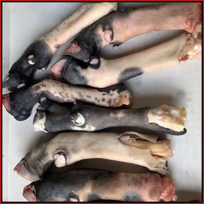 黑毛羊蹄山羊蹄子羊脚羊手羊爪生羊蹄肤色黑花3斤