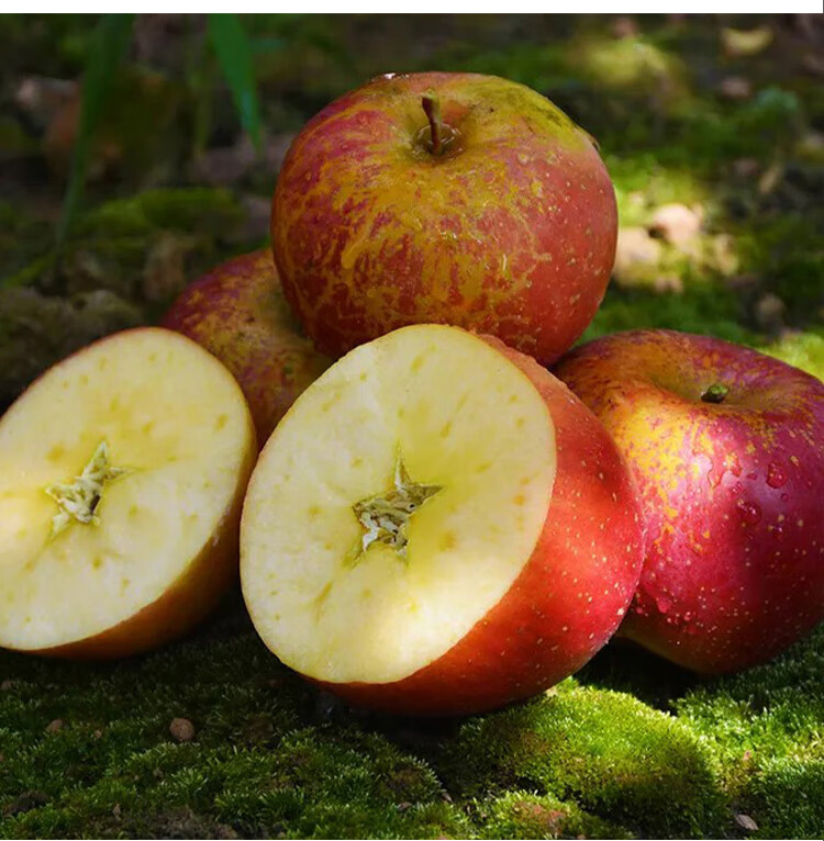 大凉山糖心丑苹果 约5/10斤冰糖心苹果 产地直发 时令鲜果 5斤中果