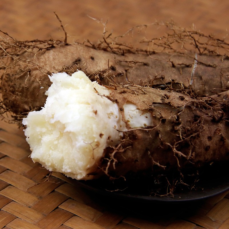 广东新鲜毛薯甜薯茂名特产火苕脚板薯田薯现挖大毛薯猪仔薯粉糯香10斤