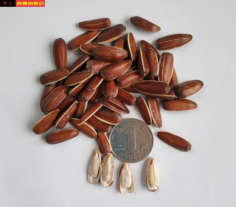 云南红葵花籽生瓜子大颗粒散装原味休闲零食甜红瓜子2019新货 试吃装