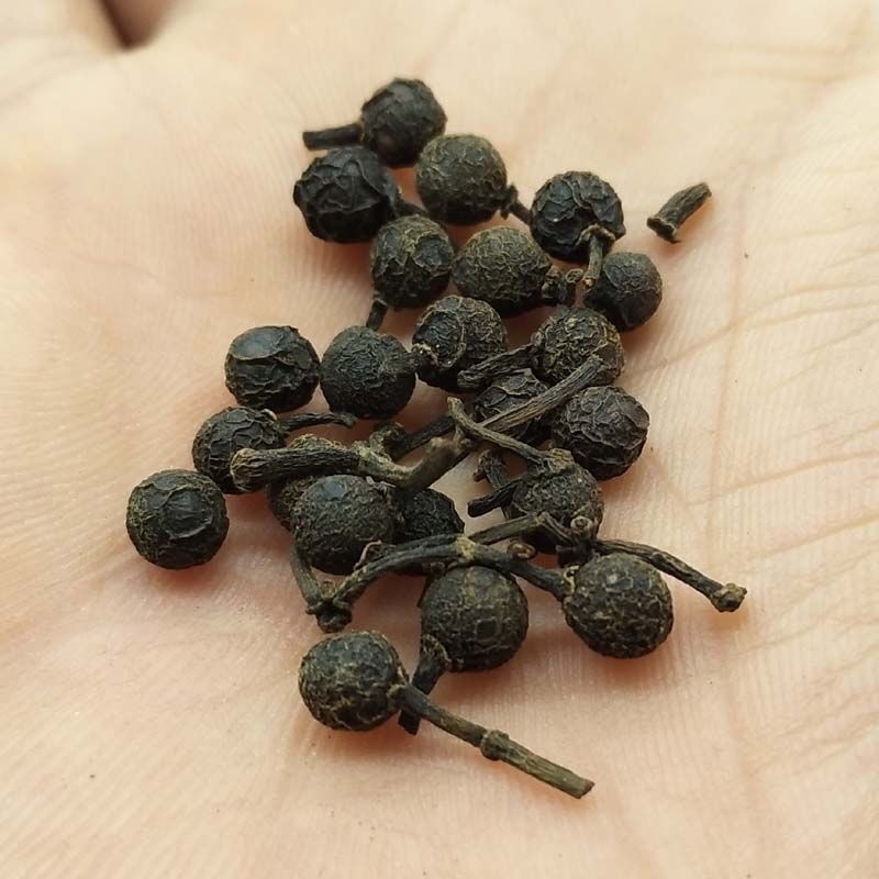 食用全干木姜子贵州特产山胡椒酸汤火锅底料干山苍子无提炼 250g半斤