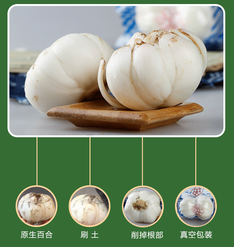 甘肃兰州现挖新鲜甜百合鲜百合真空包装兰州兰州百合新鲜现挖鲜百合