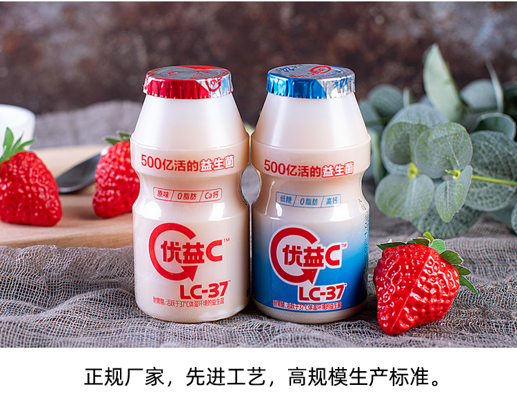 lc37乳酸菌图片