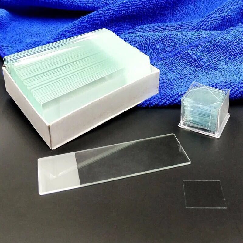 生物显微镜实验工具套装 染色剂 接种针 培养皿 载玻片 盖玻片 儿童