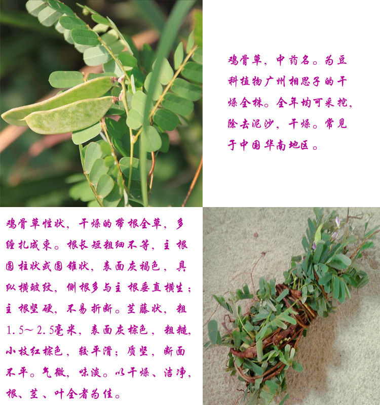 有仁堂广西鸡骨药材大黄草新鲜干藤泡茶无硫煲汤500g克鸡骨草茶年货