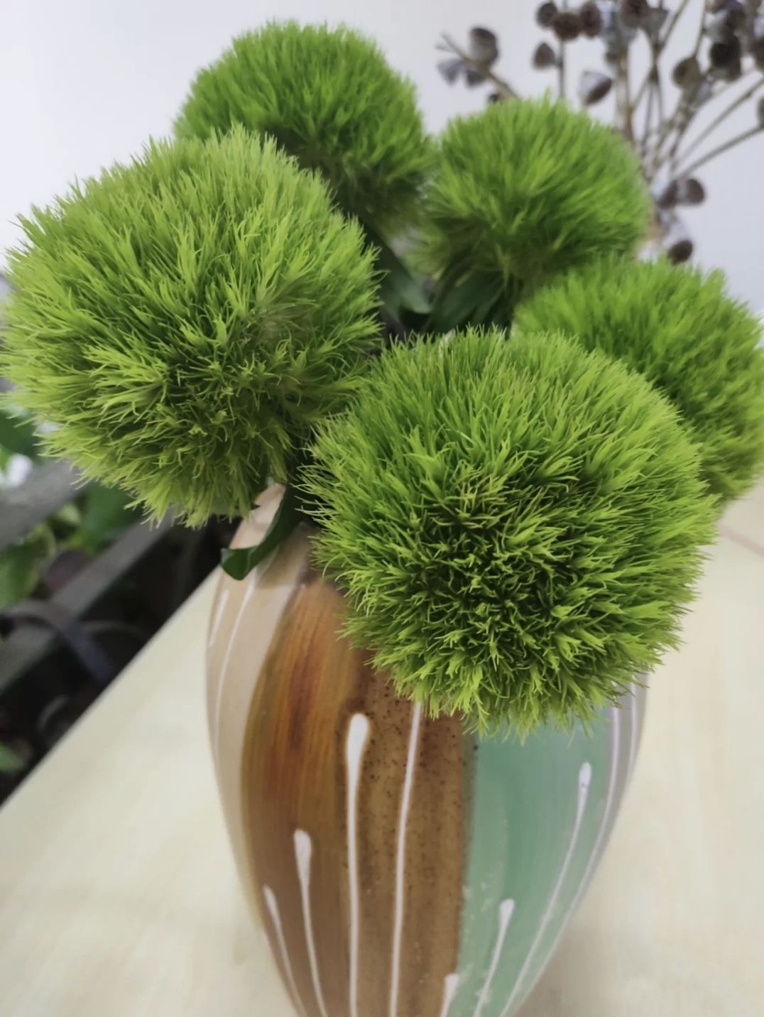 芊阙轻奢芊阙绿毛球绿石竹云南昆明基地直发家庭办公室易水养清新插花