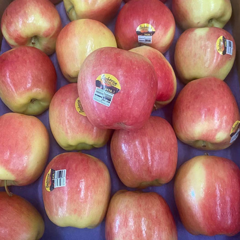 【顺丰】智利安波亚苹果8个装鲜甜神仙苹果 8个装约2斤【图片 价格 品