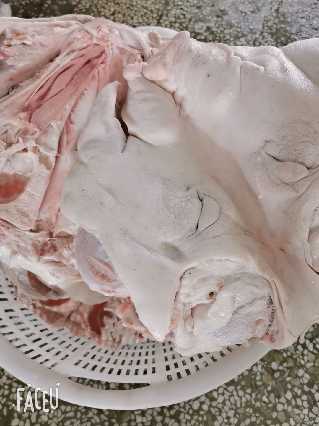 去骨生猪头 全生猪脸肉 去骨生猪头新鲜冷冻 干净无毛 净重19斤 20斤