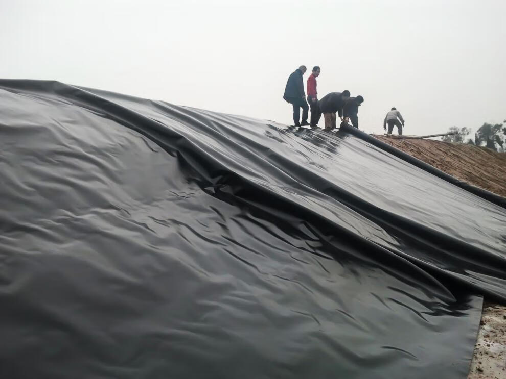 农民老史鱼塘防渗膜水产养殖鱼池防水布土工膜水池hdpe护坡防漏防渗