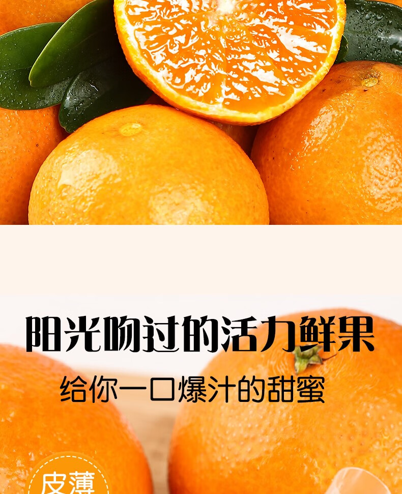 爱媛（定制改）_02.jpg