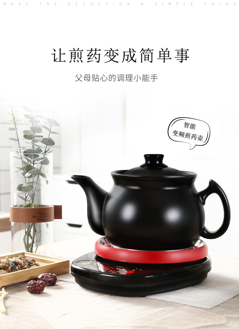 【港瑞厨具】中药煎药机全自动小型 家用 煲药全自动煎药壶 家用分体