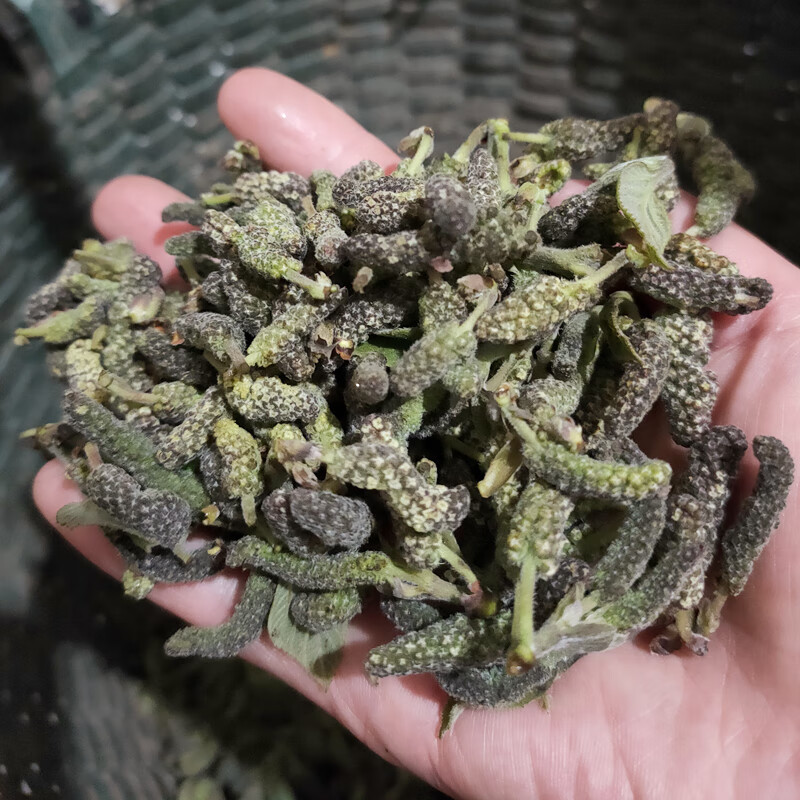 2022年构树穗新鲜构树花蒸菜棒槌儿1500g