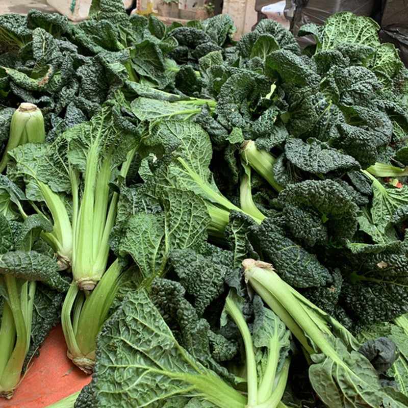 黑白菜新鲜蔬菜2/3斤农家乌塌菜黑心乌泡泡青菜乌白菜霜冻青菜 2斤