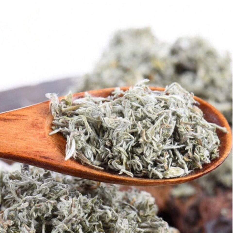 茵陈新鲜茵陈草药茵陈茶茵陈蒿绵茵陈茵陈汤茵陈中药材茵陈草 500克