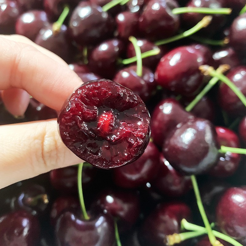 美国车厘子进口新鲜水果大樱桃时令樱桃优于智利 jj级 加大果 1斤装