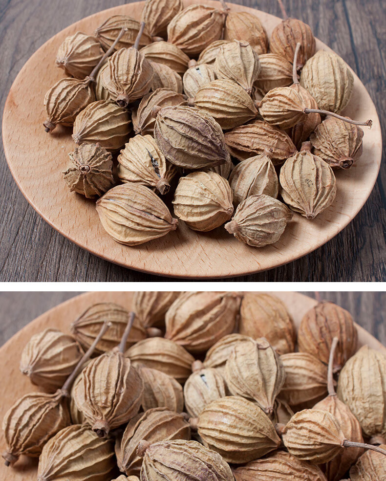 香砂仁50g金砂仁川砂仁香砂火锅炖肉卤料调料香料