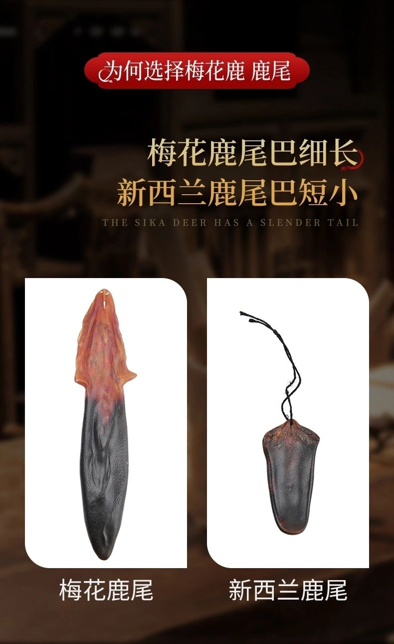 敖东原料东北正宗马鹿尾巴干鹿尾巴精10克左右药材泡酒煲汤药材梅花鹿