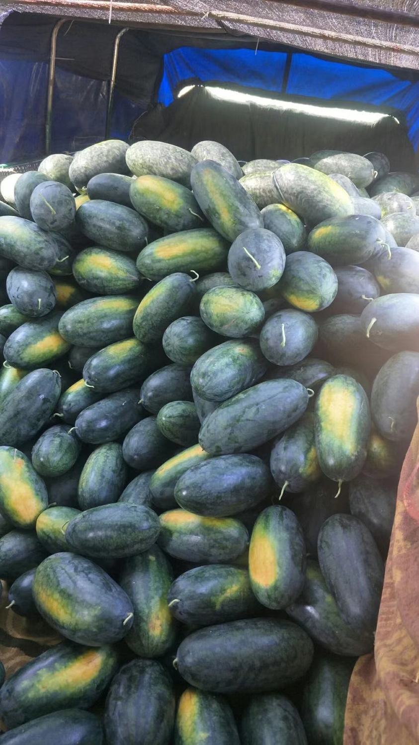 特价应季越南黑美人高山山地西瓜很甜新鲜当季水果薄皮整个批发2个