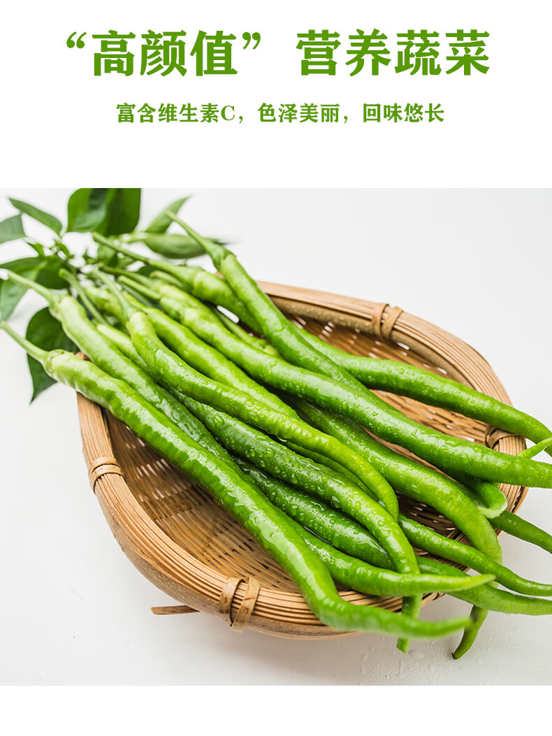 农家自种青辣椒 线椒新鲜蔬菜二荆条辣椒新鲜 长尖椒团建送人生鲜 1斤
