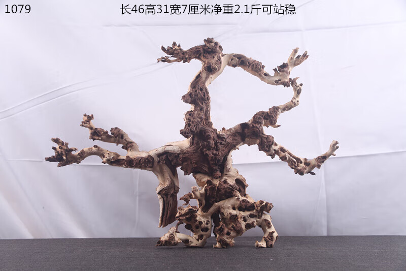 2f75a498efd19154.jpg