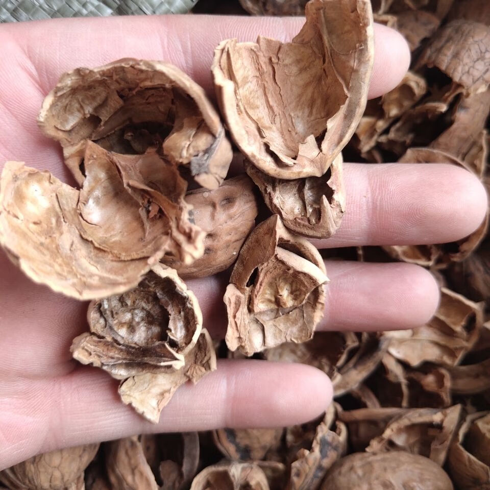 伟博 核桃壳 核桃皮 分心木 优选核桃壳500g 500克 核桃壳【图片 价格