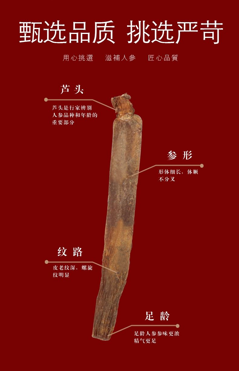 康中尊高丽参长白山别直参红参人参250克8条
