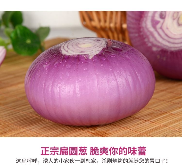 (精品)扁葱红皮扁洋葱农家自种红皮扁圆洋葱生吃不辣脆甜水果洋葱 扁