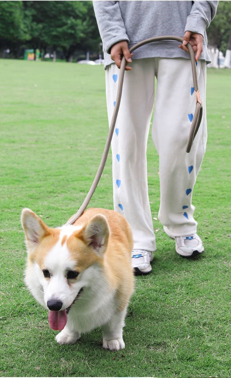 狗狗绳子防爆冲p链遛狗牵引绳防挣脱狗链子大中小型犬拴狗绳用品 米色