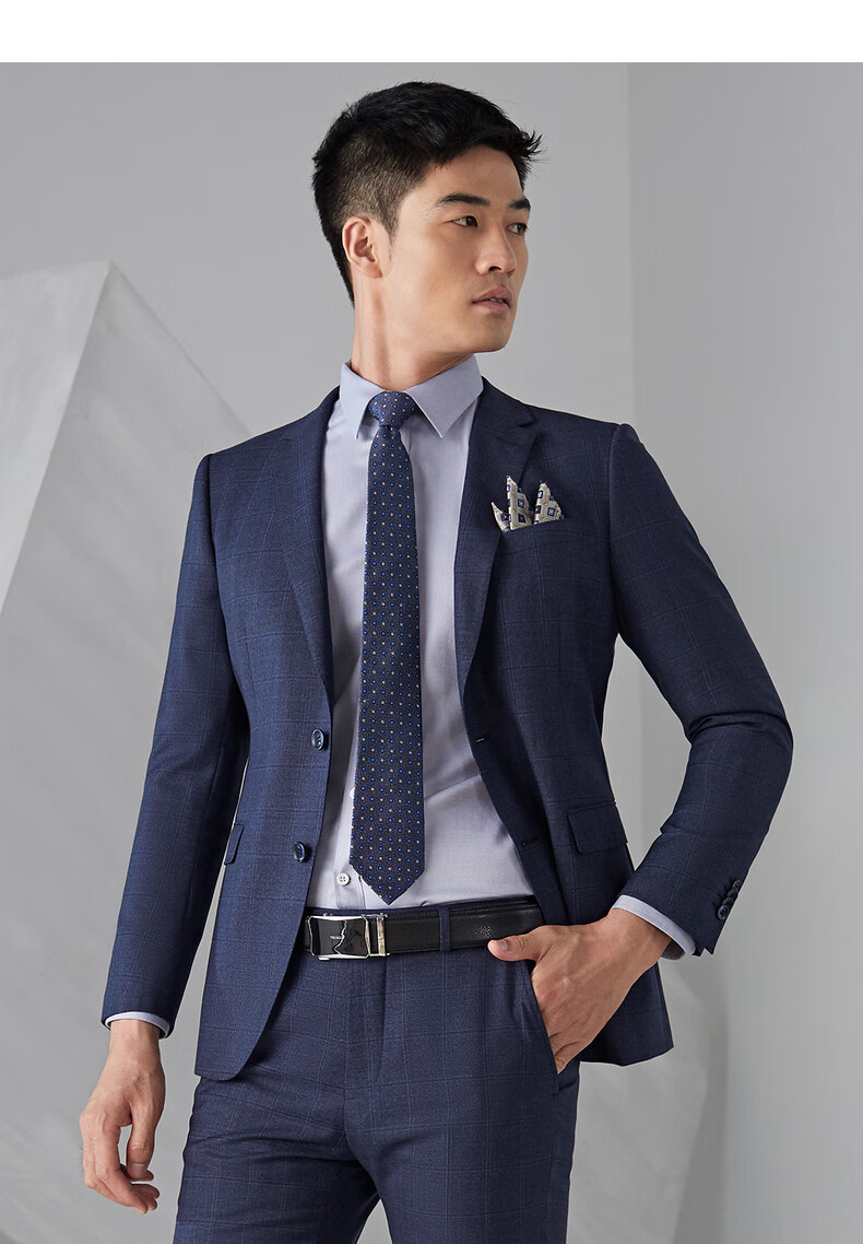 雅戈尔 套装西服男 秋季推荐 纯绵羊毛男士西服【单西服】115款西服