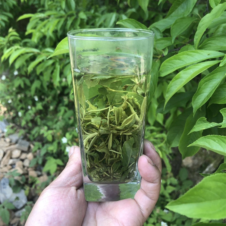 降野茶2020年新茶石臺硒茶綠茶仙寓山野茶高山口糧茶500g【圖片 價格