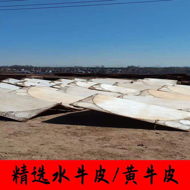 牛溜子皮水牛皮黄牛皮鼓皮战鼓皮堂鼓皮大鼓皮小鼓皮老山羊皮羊皮70