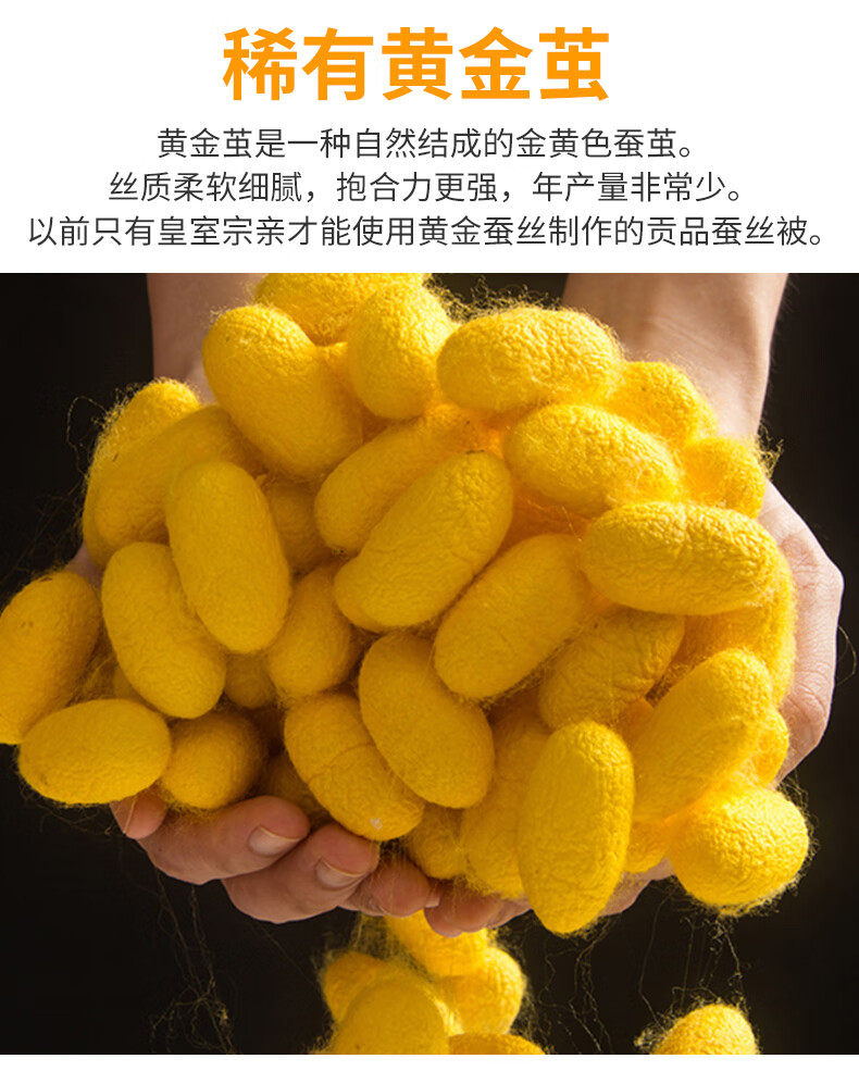 丝煌黄金茧蚕丝被100桑蚕长丝被优等品春秋被保暖冬被子母被芯3178双