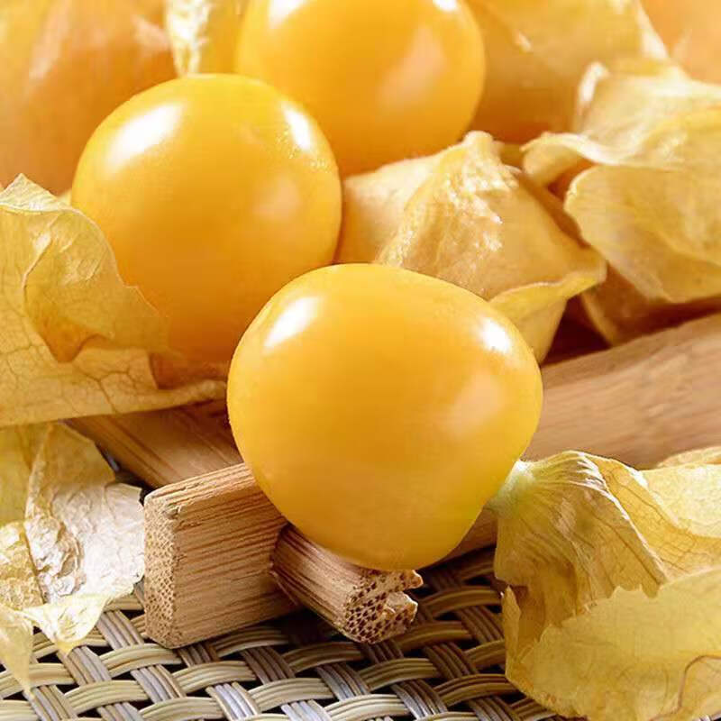 菇娘果黄姑娘果灯笼果洋菇娘东北特产新鲜应季水果大中果整箱火暴5斤