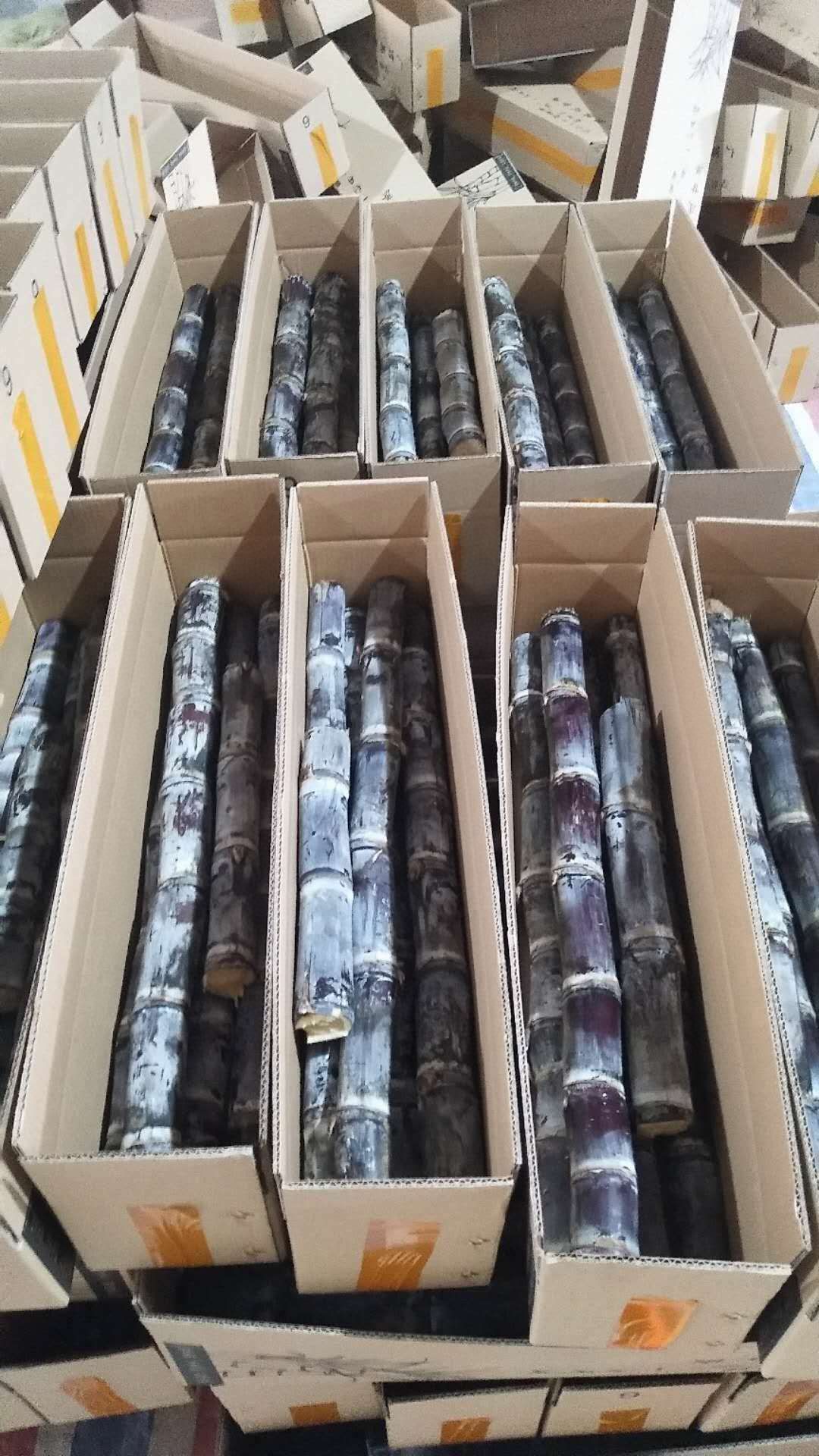 广西黑皮甘蔗 新鲜水果清甜现砍现发脆甜多汁特产批发 严选净重9斤(带